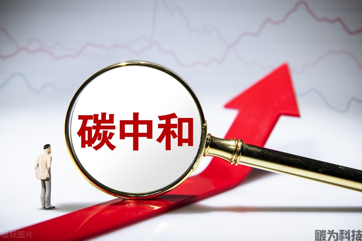 <strong>碳中和评价与认证</strong>