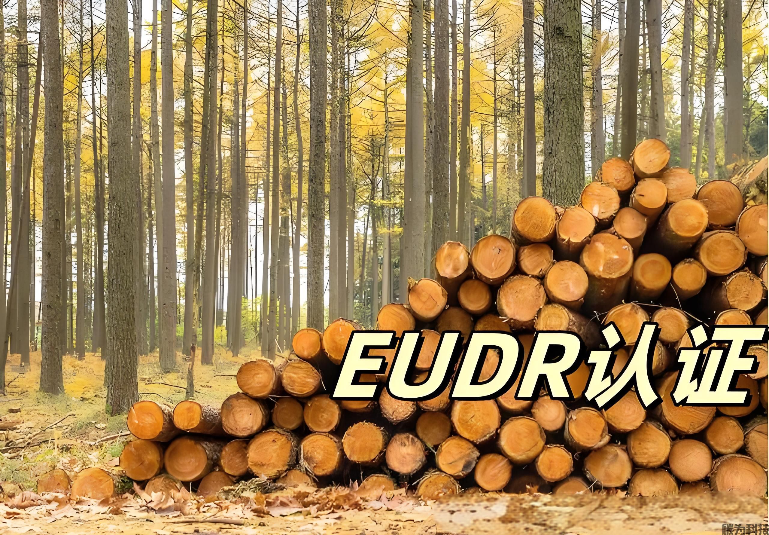 一文读懂什么是欧盟零毁林法案（EUDR）(图1)